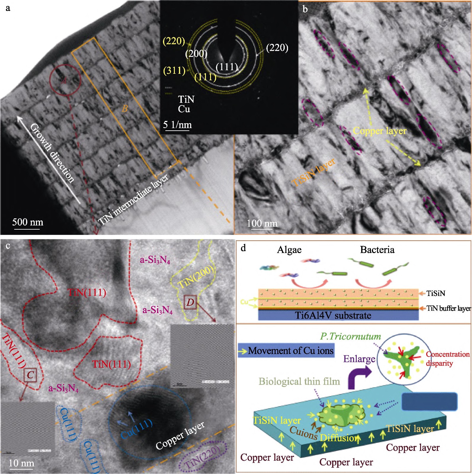 海洋環(huán)境鈦金屬的應用現(xiàn)狀及其防護技術研究