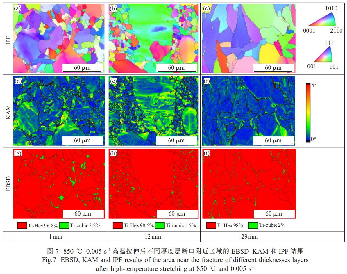 面向船舶大型殼體件的TC4鈦合金厚板精密熱壓成形技術(shù)研究——解析厚向組織不均勻性對成形性能的影響，通過應(yīng)力松弛-回彈耦合模擬優(yōu)化保壓參數(shù)，實(shí)現(xiàn)±2mm形狀公差的高精度成形