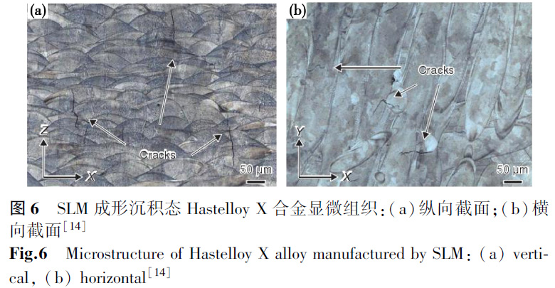 1672138352996850.jpg t6.jpg