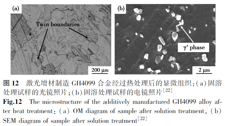 1672138513368509.jpg t12.jpg