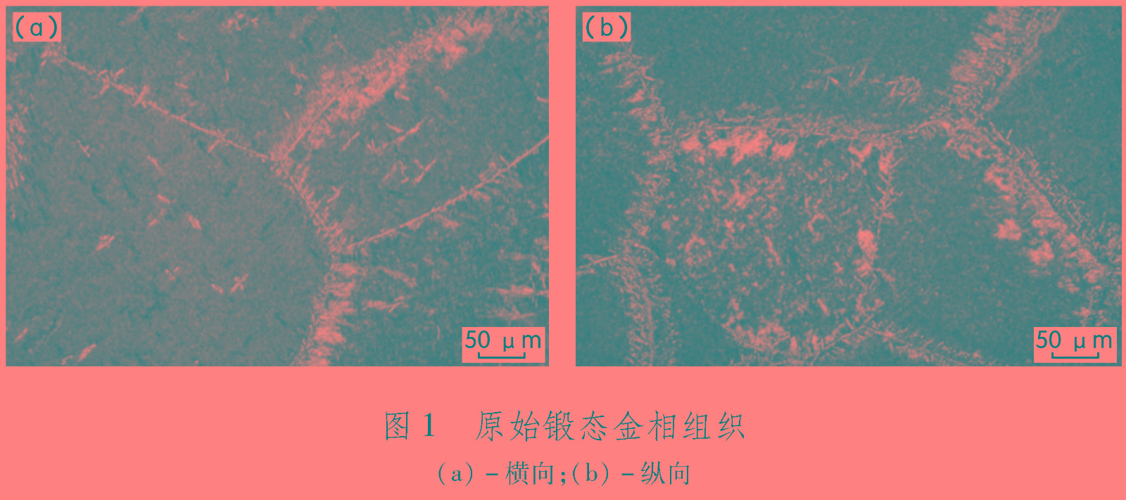 1681547362616249.jpg t1.jpg