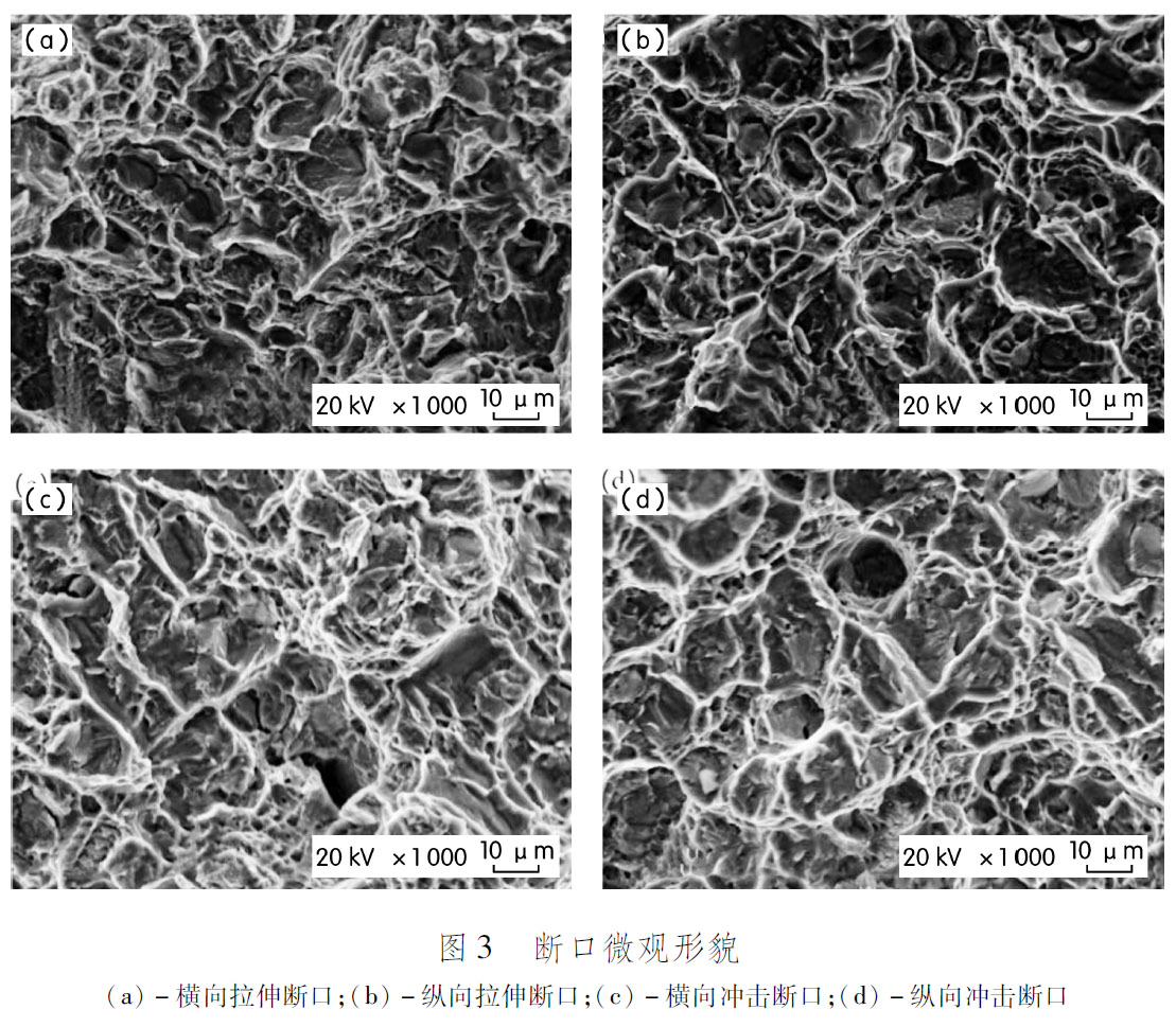 1681547406439076.jpg t3.jpg