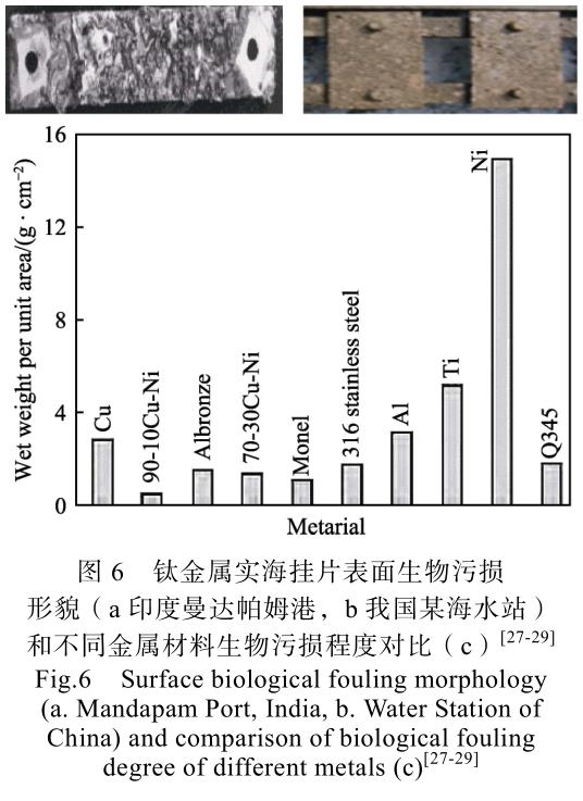 1692885122644556.jpg t6.jpg