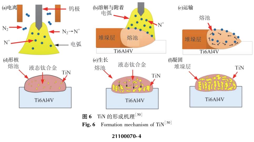 1703125024705473.jpg t6.jpg