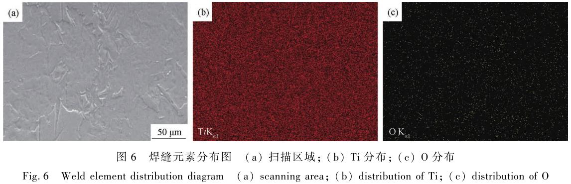 1706182231311271.jpg t6.jpg