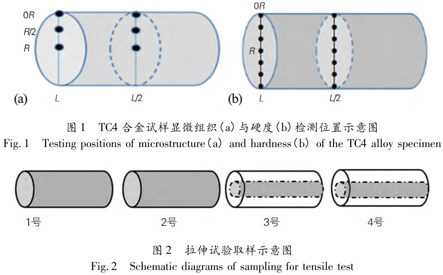 1706188826844153.jpg t1-2.jpg
