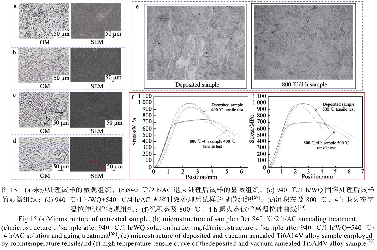 1715137002666682.jpg t15.jpg