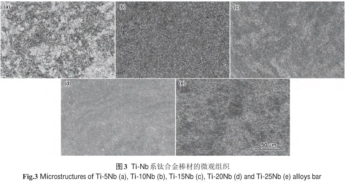 1721658871755636.jpg t3.jpg