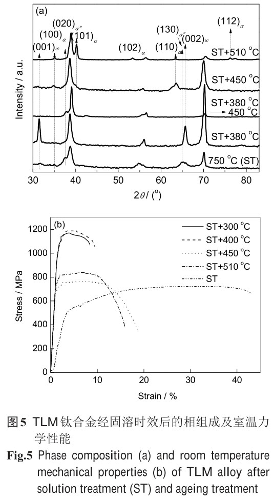 1721658984940813.jpg t5.jpg