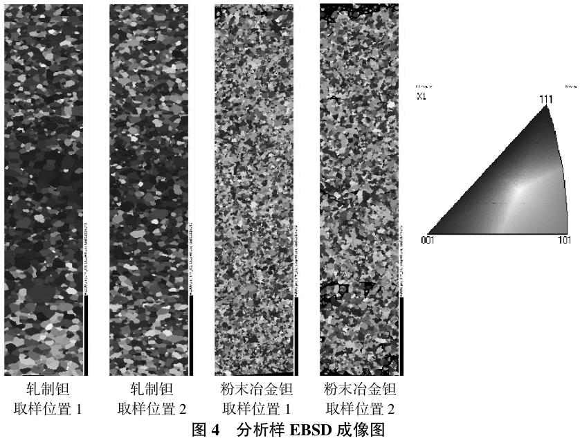 1721785427671320.jpg t4.jpg