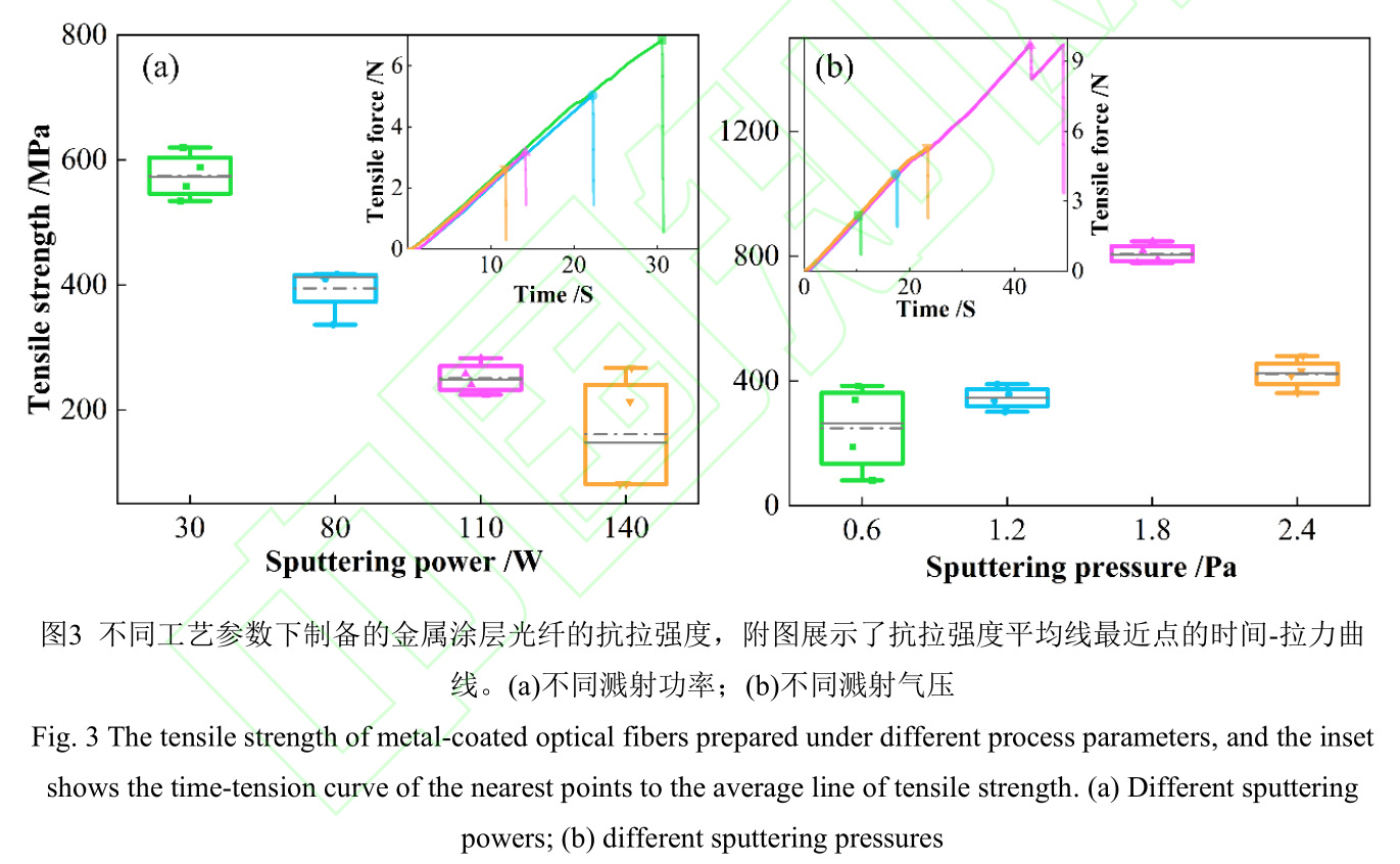 1728138539385493.jpg 3.jpg