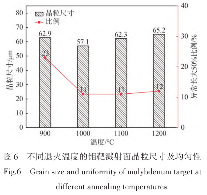 1729764562441965.jpg t6.jpg