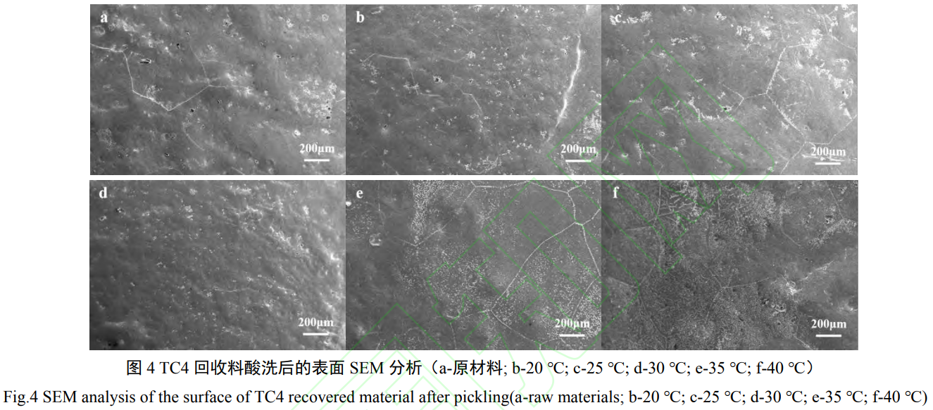 1732265244547719.png 4.png