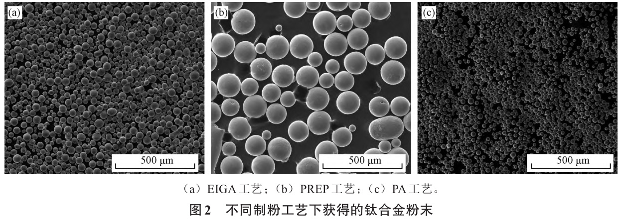 1735024701573278.jpg 2.jpg