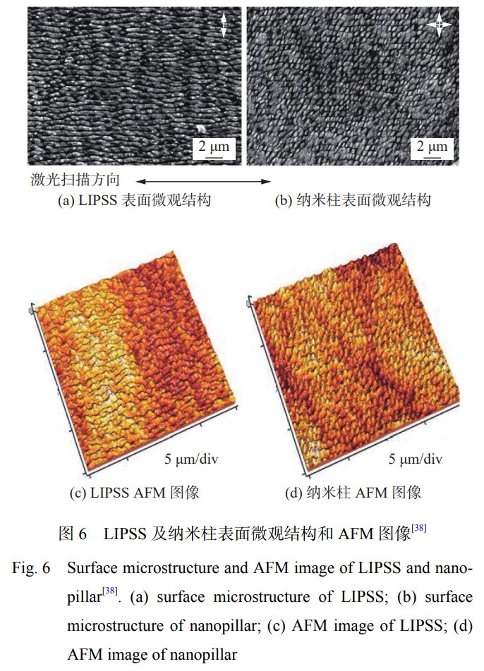 1739288376296335.jpg 6.jpg