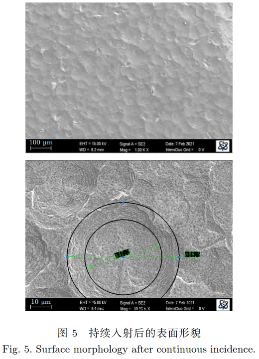 1739417354705539.png 截圖20250213112445.png