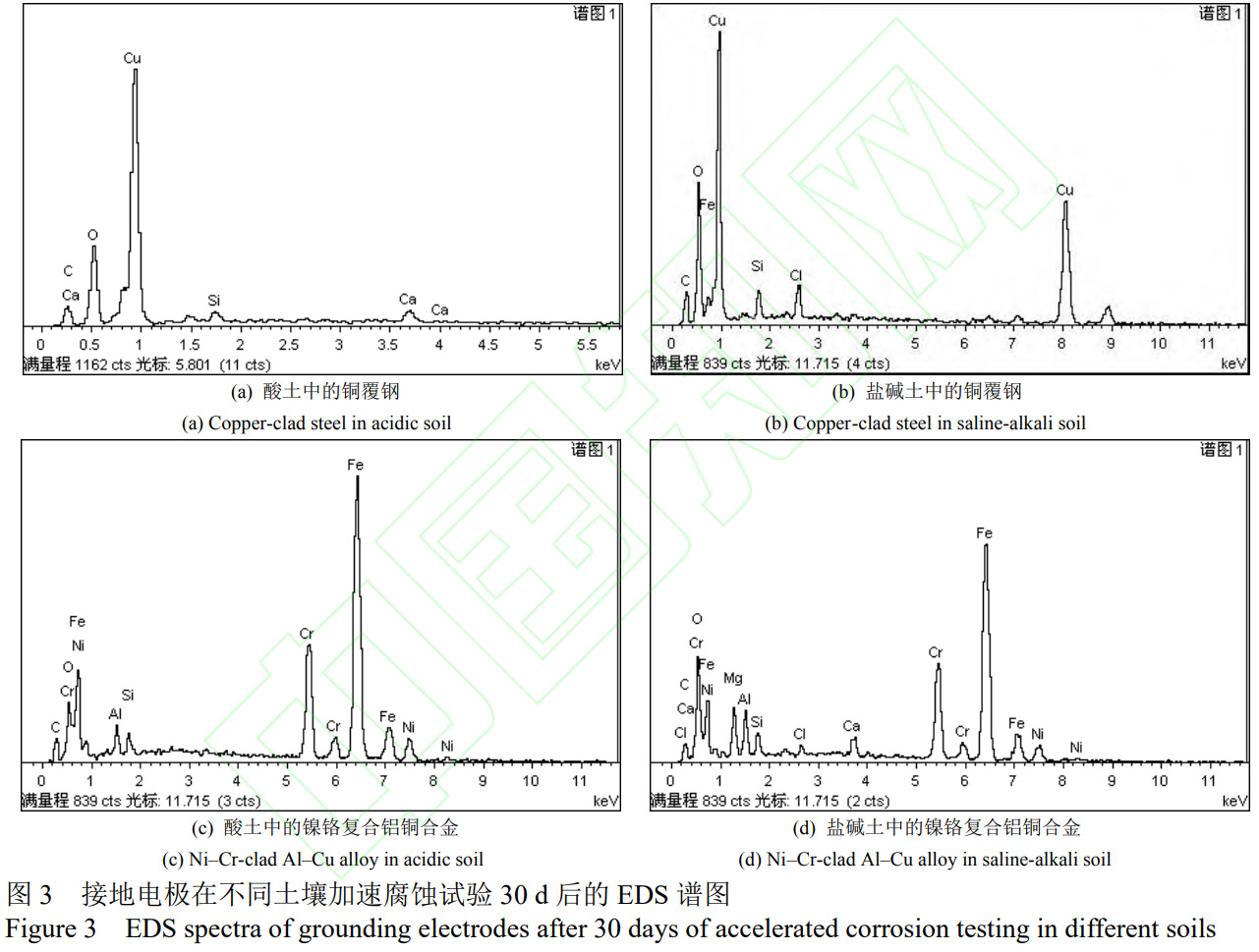 1773622047527405.jpg 3.jpg