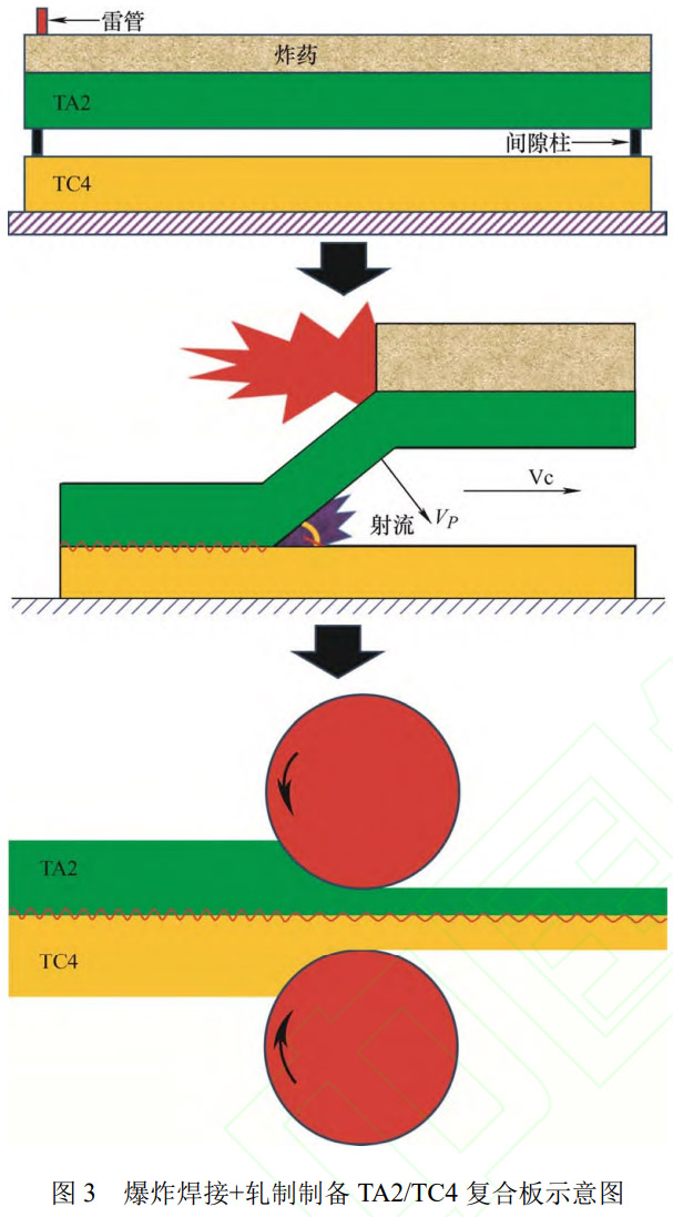 1773627577532544.jpg 3.jpg