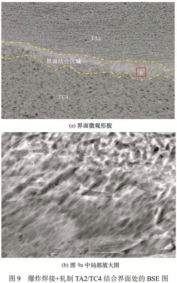 1773627747266677.jpg 9.jpg