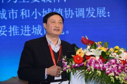 肖金成副會(huì)長(zhǎng):十三五時(shí)期的城鎮(zhèn)化與城市群發(fā)展