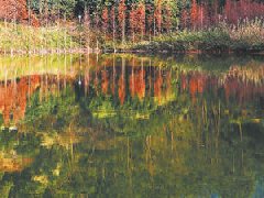 張家口：打造冬奧和冰雪產(chǎn)業(yè)人才高地