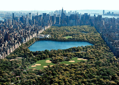 城市森林建設的經(jīng)典案例--城市森林成就城市未來