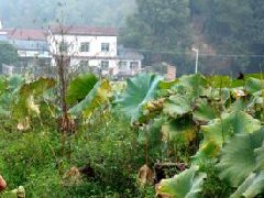 西安交通大學召開“十四五”信息化發展規劃專題工作會議