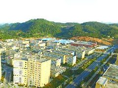 中山：加快建設(shè)東升脆肉鯇、橫欄花木省級(jí)現(xiàn)代農(nóng)業(yè)產(chǎn)業(yè)園