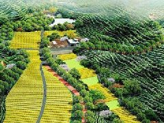 安徽省農(nóng)業(yè)農(nóng)村廳關(guān)于第三批省級(jí)現(xiàn)代農(nóng)業(yè)產(chǎn)業(yè)園名單的公示