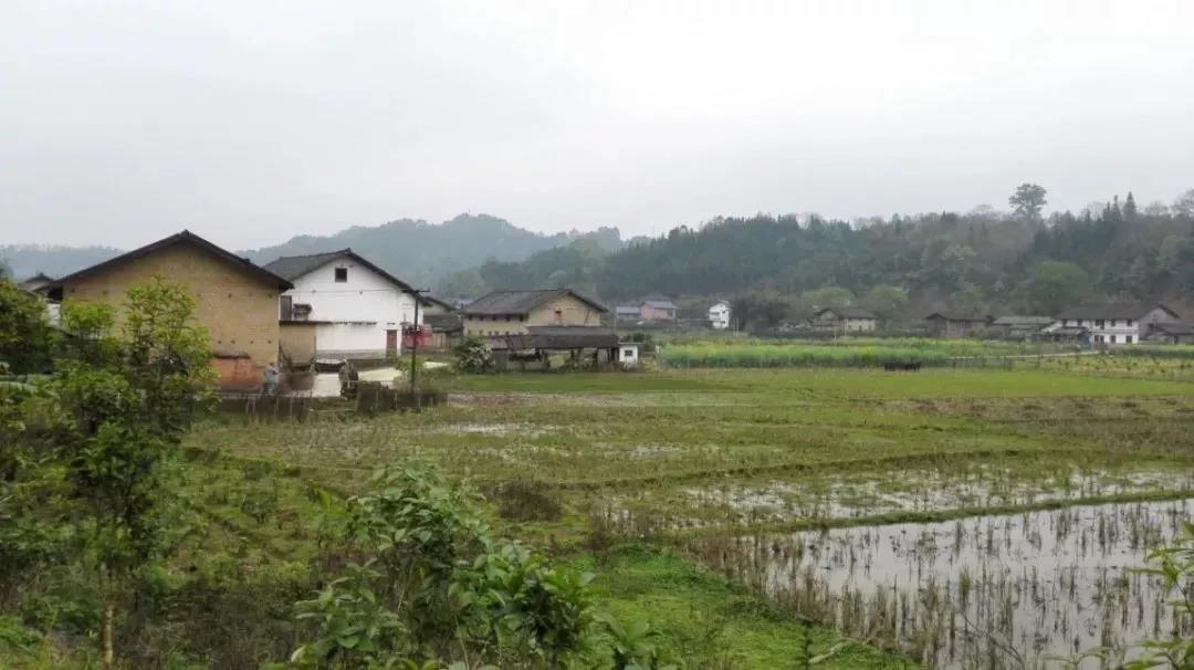 《云南楚雄國家農業(yè)科技園區(qū)“十四五” 發(fā)展規(guī)劃》經州人民政府審定印發(fā)實