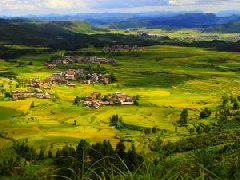 2021年現(xiàn)代農(nóng)業(yè)產(chǎn)業(yè)園創(chuàng)建要點(diǎn)及政策分析！