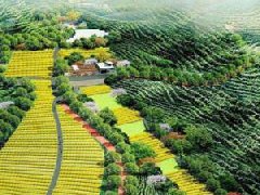 隴縣加快推進國家現代農業（奶山羊）產業園建設