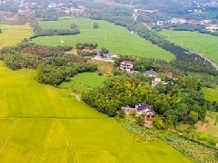 江蘇十四五規劃和2035年遠景目標發布 精繪新藍圖“蘇”寫新篇章