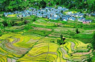 互聯網+時代下淘寶村發(fā)展與縣域經濟關聯性研究