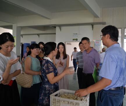 中國(guó)高新技術(shù)產(chǎn)業(yè)經(jīng)濟(jì)研究院來(lái)新化考察調(diào)研