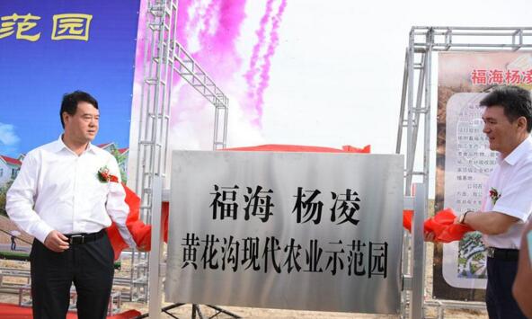 新疆福?？h攜手楊凌高新區(qū)打造中國高緯度農(nóng)業(yè)示范基地