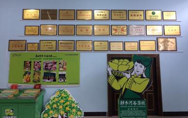 “芒果百色，香飄百地” 國內(nèi)首家芒果精深加工特色產(chǎn)業(yè)基地申報進(jìn)行時