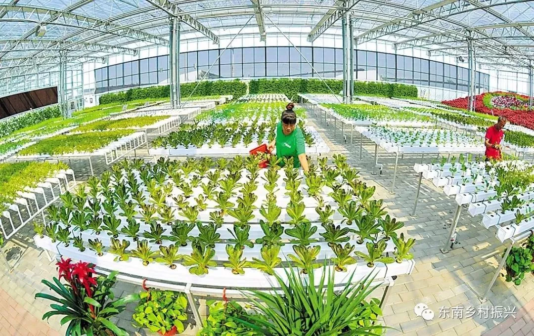 發(fā)改委點(diǎn)贊休閑農(nóng)業(yè)：農(nóng)村一二三產(chǎn)融合發(fā)展報告出爐