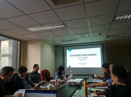 問診專家，繪制龍鄉銅梁鄉村振興新藍圖