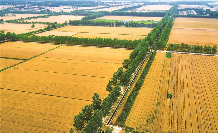 江蘇：魚米之鄉(xiāng)，鄉(xiāng)村產(chǎn)業(yè)動能澎湃