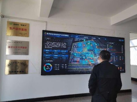 依托糧食和蔬菜兩大優(yōu)質產業(yè),新民市向國家農業(yè)現代化示范區(qū)邁進