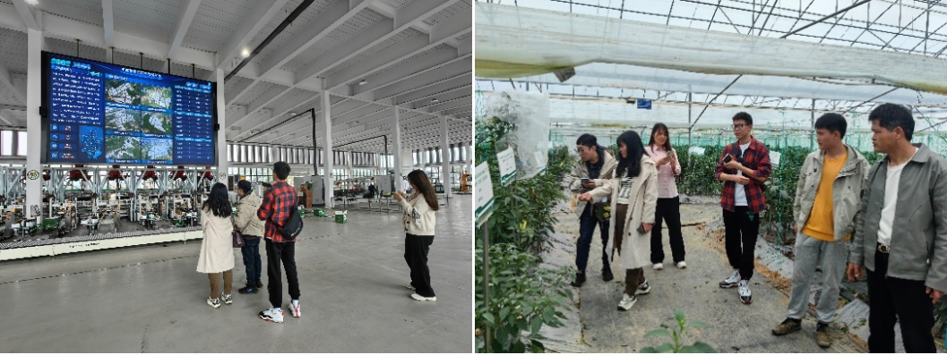 走在前、勇爭先——我院助力江西省寧都縣創(chuàng)建國家現(xiàn)代農業(yè)產業(yè)園