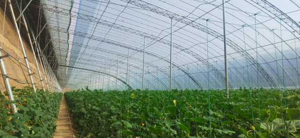 我院助力山西省曲沃縣創(chuàng)建國(guó)家現(xiàn)代農(nóng)業(yè)產(chǎn)業(yè)園