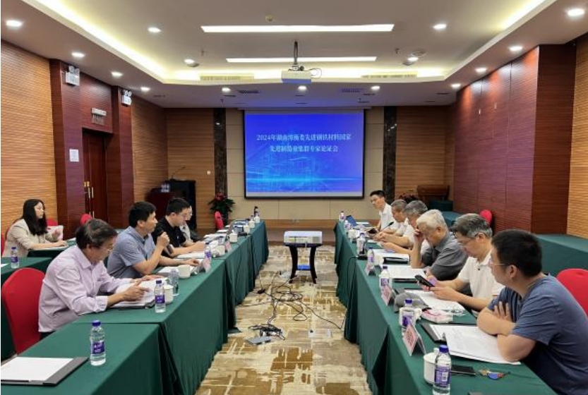 《培育發展湘潭市、婁底市、衡陽市先進鋼鐵材料集群實施方案》獲專家高度評